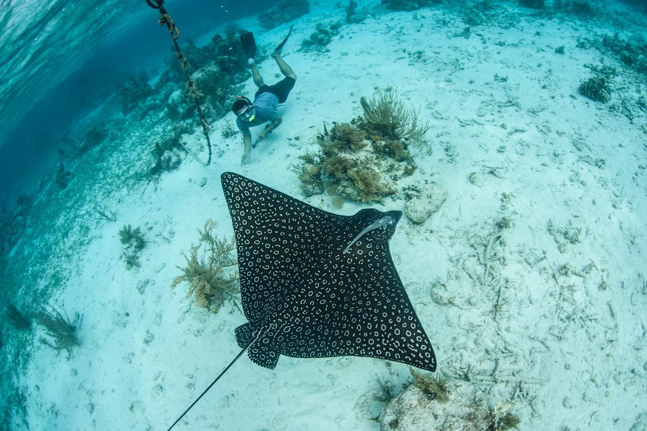 Turneffe Island Resort Turneffe Atoll ภายนอก รูปภาพ